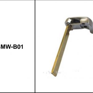 Espada Keyless BMW-B01