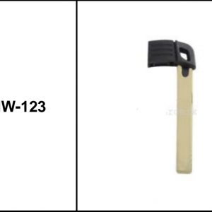 Espada Keyless BMW-123
