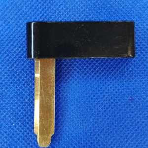 Espada Keyless BYD derecha nºB02